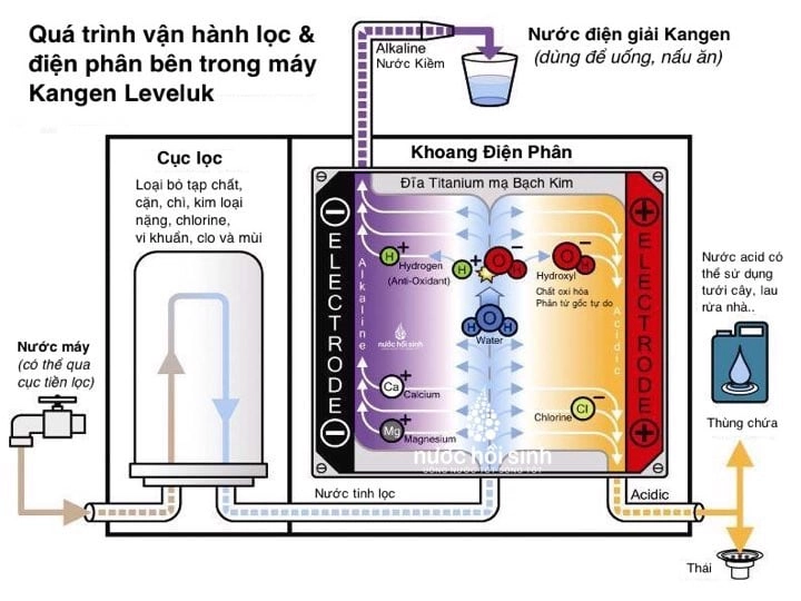 Máy lọc nước điện giải là gì nước ion kiềm có tốt không - 3